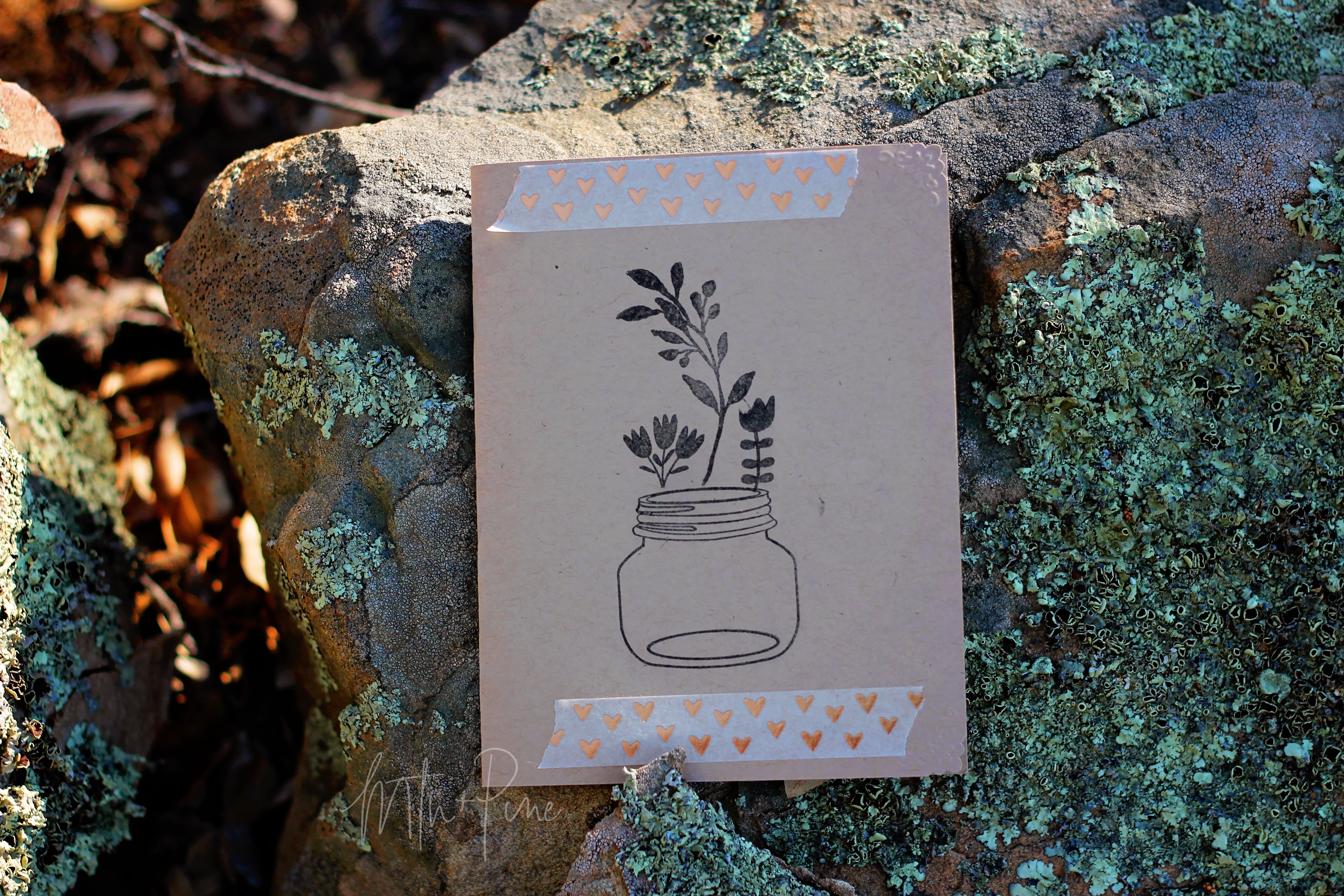 Mtn + Pine Gift Box 2